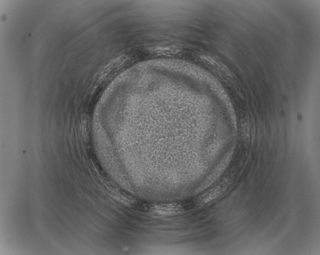 X0000062650757200601181809