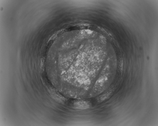 X0000062650759200601181809