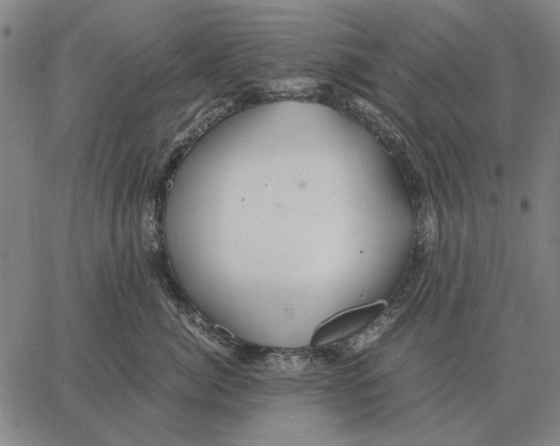 X0000062650764200601181810