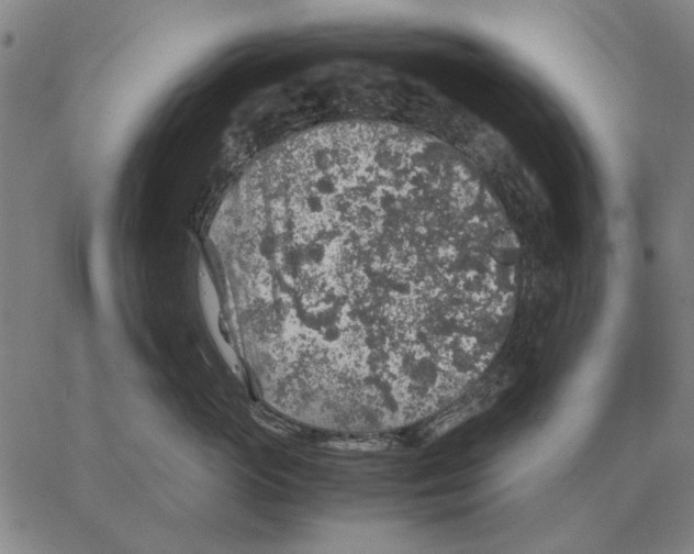 X0000062650765200601181810