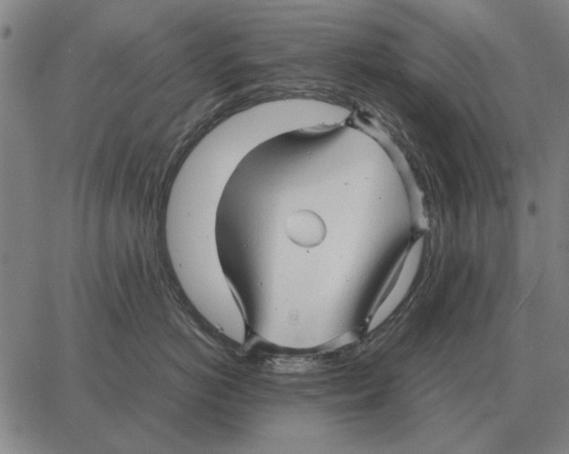 X0000062650766200601181810