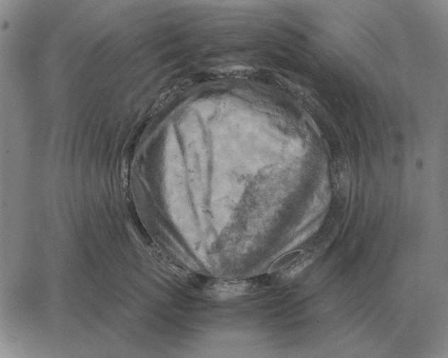 X0000062650767200601181810