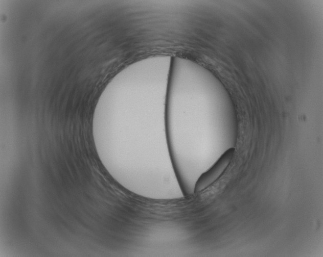 X0000062650768200601181810