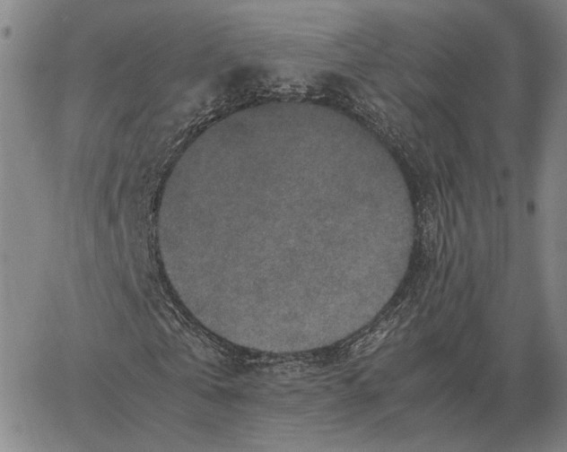 X0000062650769200601181809