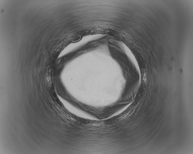 X0000062650771200601181809