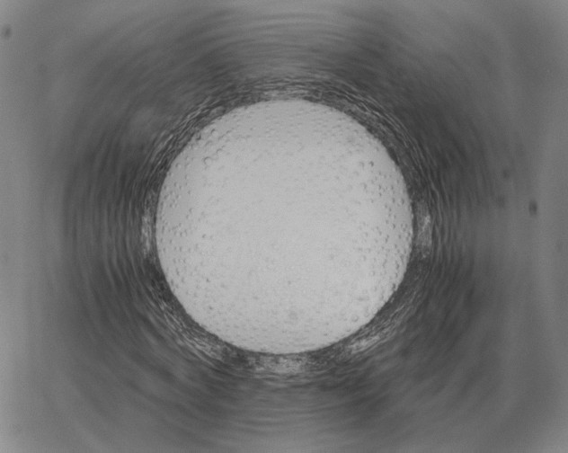 X0000062650772200601181809