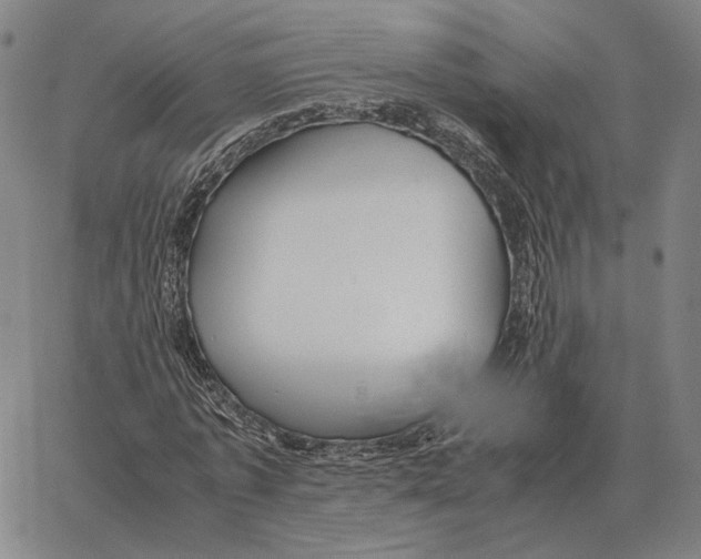 X0000062650773200601181809