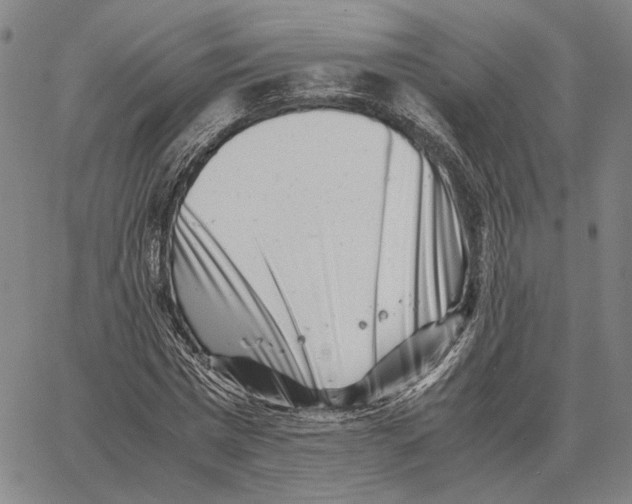 X0000062650777200601181809