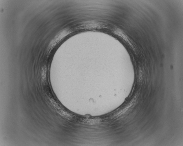 X0000062650778200601181809