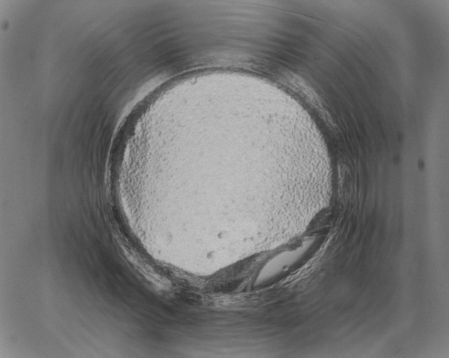 X0000062650780200601181809