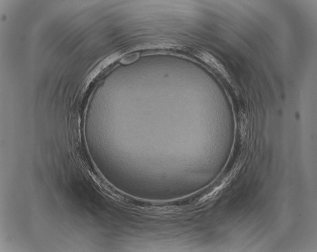 X0000062650781200601181809