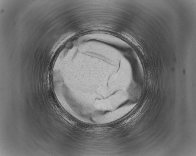 X0000062650782200601181809