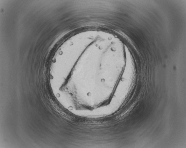 X0000062650783200601181809