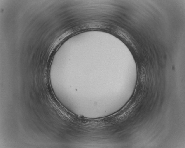 X0000062650786200601181809