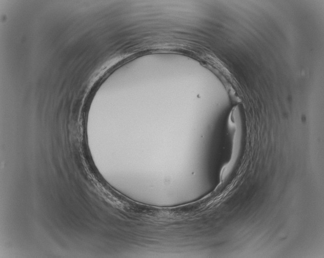 X0000062650787200601181808