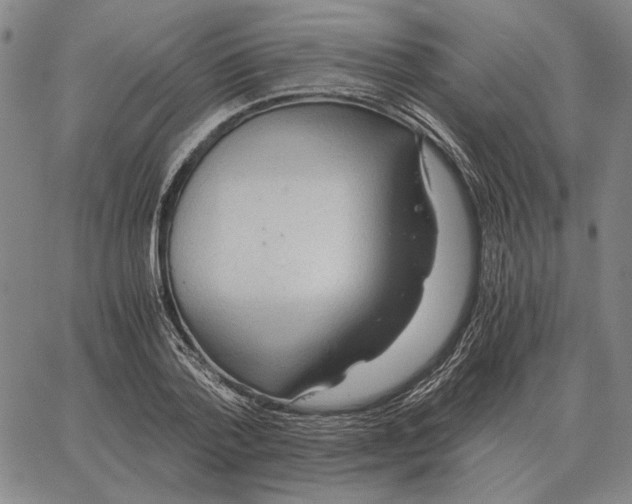 X0000062650788200601181808