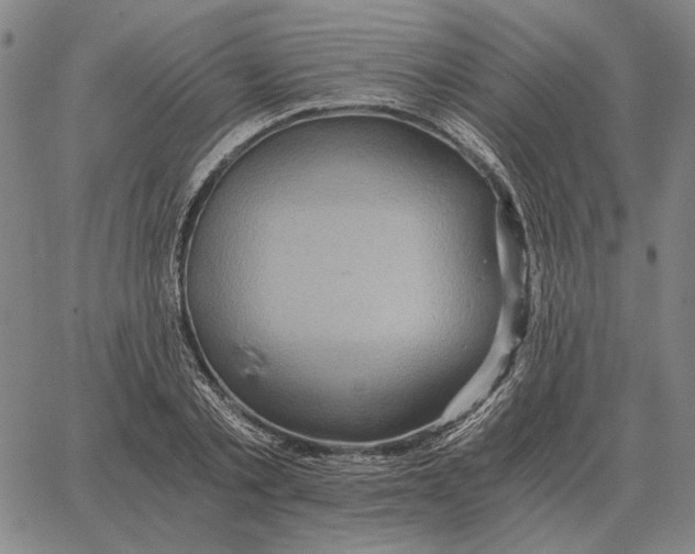 X0000062650789200601181808