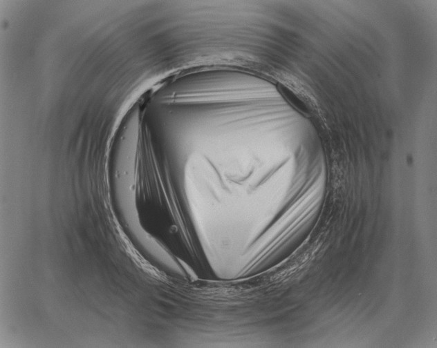 X0000062650792200601181808