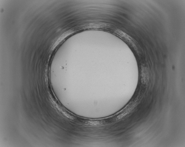 X0000062650794200601181808