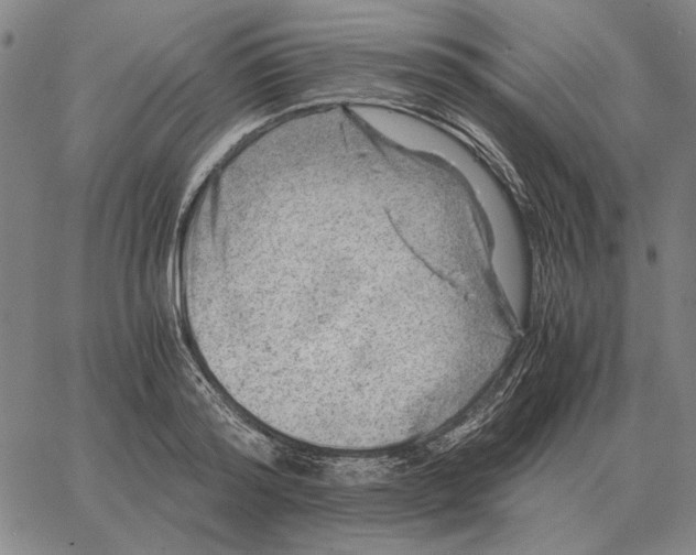 X0000062650796200601181808