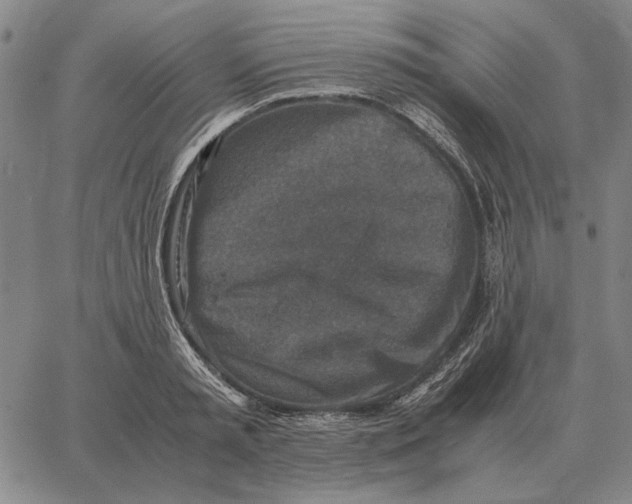 X0000062650797200601181808