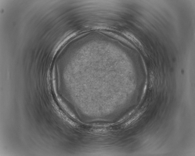 X0000062650798200601181808