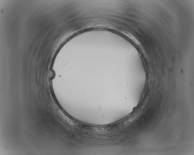 X0000062650799200601181808