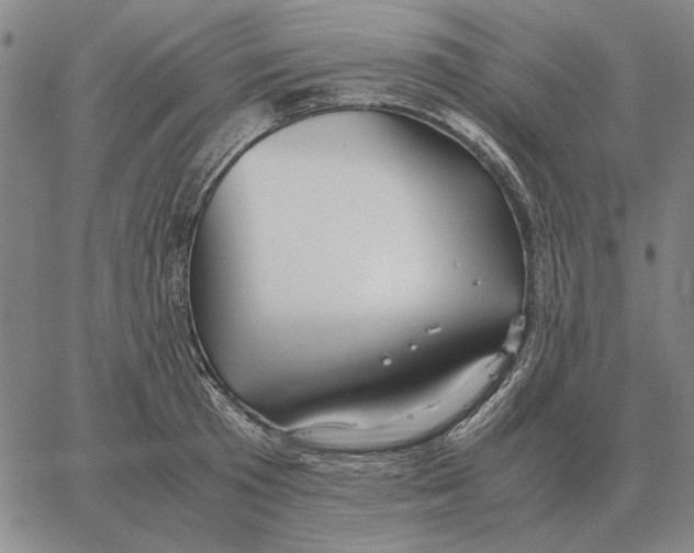 X0000062650801200601181808