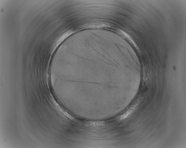 X0000062650802200601181808