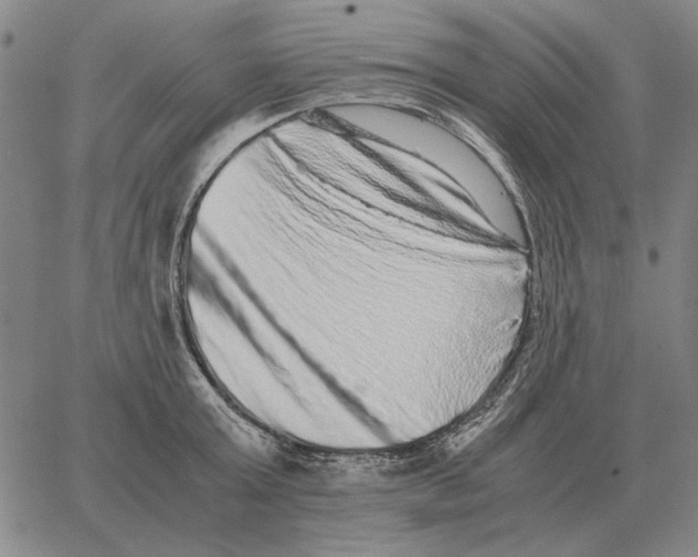 X0000062650803200601181808