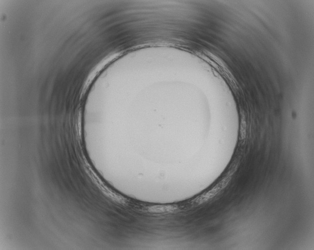 X0000062650804200601181808