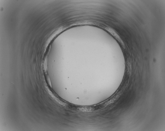 X0000062650805200601181808