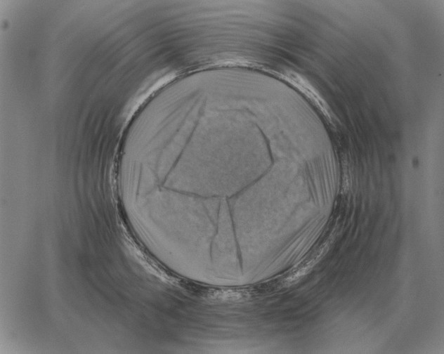 X0000062650806200601181808