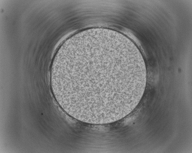 X0000062650807200601181808