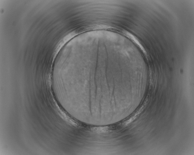 X0000062650810200601181808