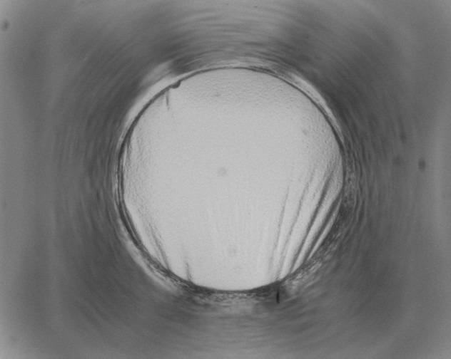 X0000062650811200601181808