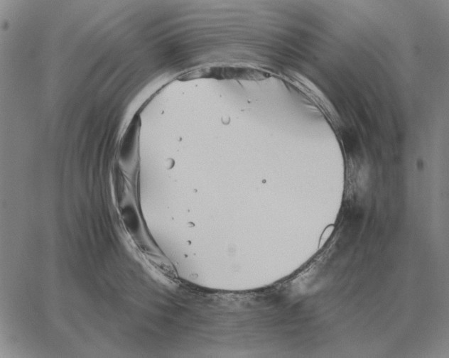 X0000062650812200601181808