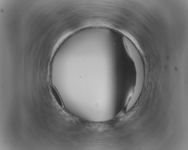 X0000062650815200601181808