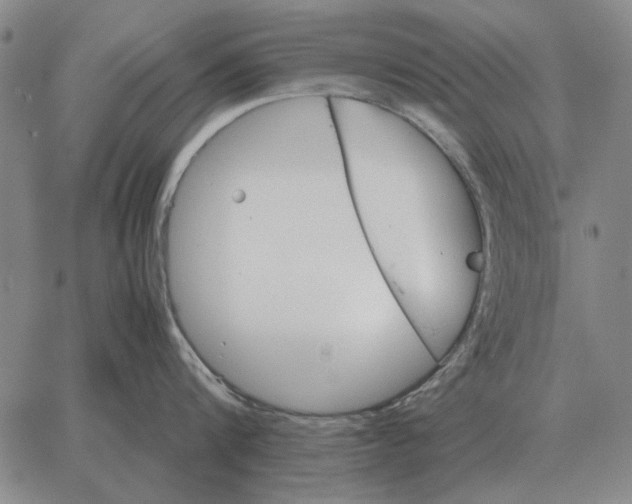 X0000062650816200601181808