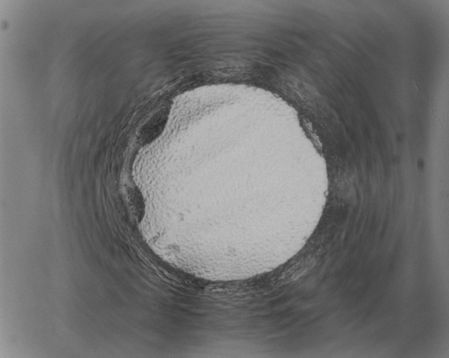 X0000062650817200601181807