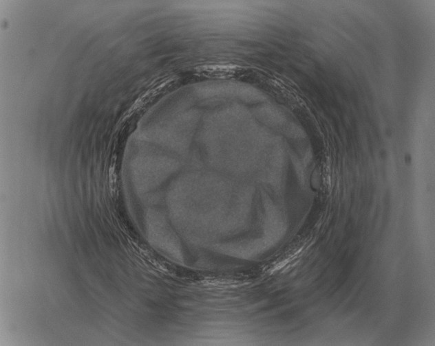 X0000062650818200601181807