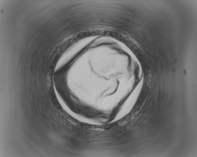 X0000062650821200601181807