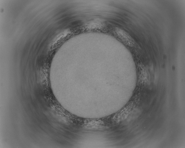 X0000062650824200601181807