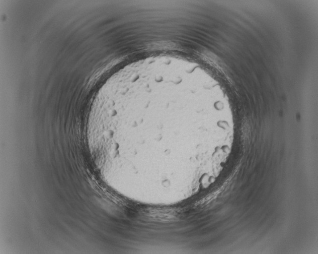 X0000062650825200601181807