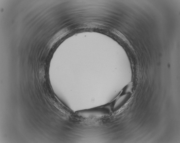 X0000062650826200601181807