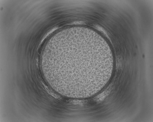 X0000062650827200601181807