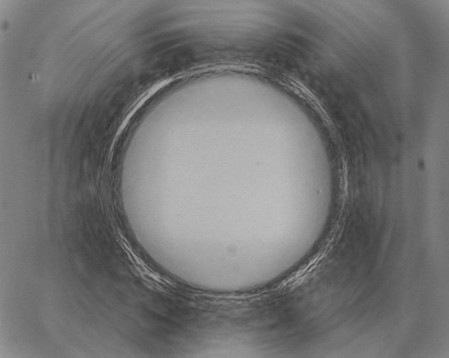 X0000062650828200601181807