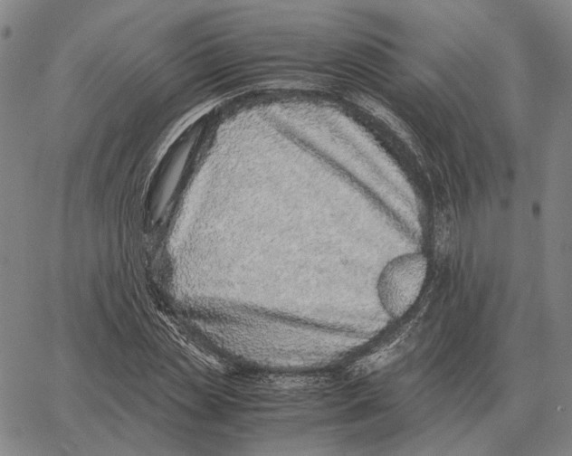 X0000062650829200601181807