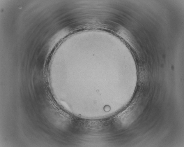 X0000062650832200601181807