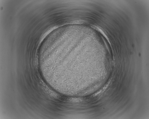 X0000062650835200601181808